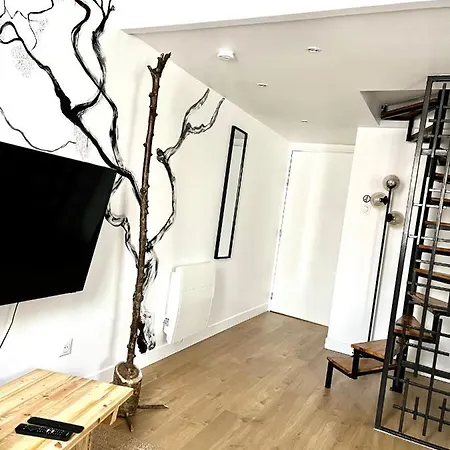 Appartement Ap302 Sur Marne ,centre Ville, 15 Min à Disneyland En Voiture, 30 Min A Paris En Voiture *