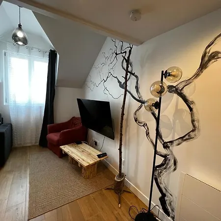 Ap302 Sur Marne ,centre Ville, 15 Min à Disneyland En Voiture, 30 Min A Paris En Voiture Appartement